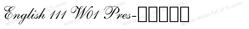 English 111 W01 Pres字体转换